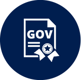 Government